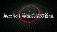 某三級甲等醫院績效管理的改革分析——以Z醫院為例