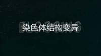 染色體結構變異