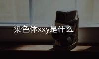 染色體xxy是什么