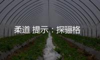 柔道 提示：探驪格