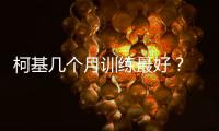 柯基幾個月訓練最好？ 柯基犬幾個月開始訓聽話