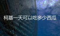 柯基一天可以吃多少西瓜(柯基一天可以吃多少水果)