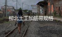 柳北土工加筋帶規格
