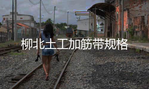 柳北土工加筋帶規格