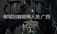 柳城招聘聘用人員:廣西柳州柳城招聘