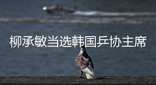 柳承敏當(dāng)選韓國(guó)乒協(xié)主席 盡全力辦好釜山世乒賽