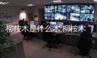 柳桉木是什么木 柳桉木和桉木有區別嗎