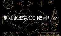 柳江鋼塑復合加筋帶廠家