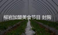 柳巖加盟美食節(jié)目 封胸改秀廚藝欲脫單【娛樂(lè)新聞】風(fēng)尚中國(guó)網(wǎng)