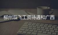 柳州雙飛工資待遇和廣西柳州雙飛的情況說明