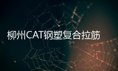 柳州CAT鋼塑復合拉筋帶性能說明