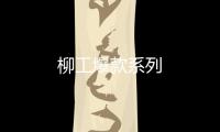 柳工爆款系列