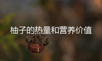 柚子的熱量和營養價值