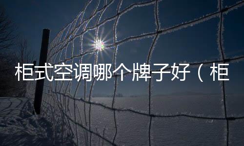 柜式空調哪個牌子好（柜式空調）