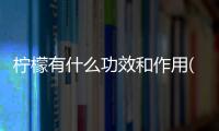 檸檬有什么功效和作用(檸檬泡水喝有什么作用與功效)