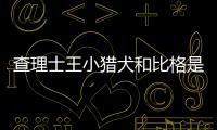查理士王小獵犬和比格是一個種類嗎？ 比格獵犬優(yōu)點和缺點
