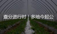 查分進行時！多地今起公布2024考研成績_