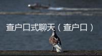 查戶口式聊天（查戶口）