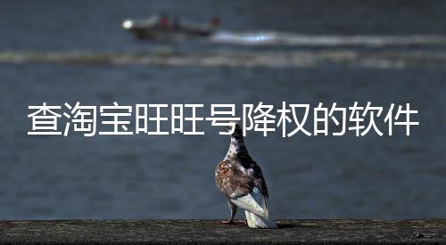 查淘寶旺旺號降權(quán)的軟件（淘寶旺旺號降權(quán)怎么查）