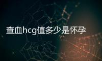 查血hcg值多少是懷孕