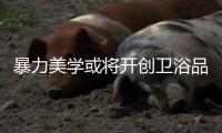 暴力美學(xué)或?qū)㈤_創(chuàng)衛(wèi)浴品牌新景象