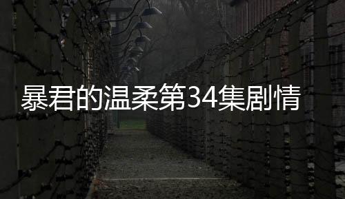 暴君的溫柔第34集劇情(大結局)