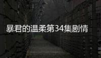 暴君的溫柔第34集劇情(大結局)
