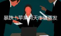 暴跌！蘋果兩天市值蒸發1900億美元