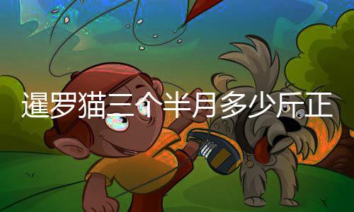 暹羅貓三個(gè)半月多少斤正常(暹羅貓幼貓1個(gè)半月怎么養(yǎng))