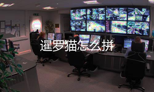 暹羅貓怎么拼