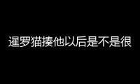 暹羅貓揍他以后是不是很記仇了(暹羅貓打了他怎么辦)