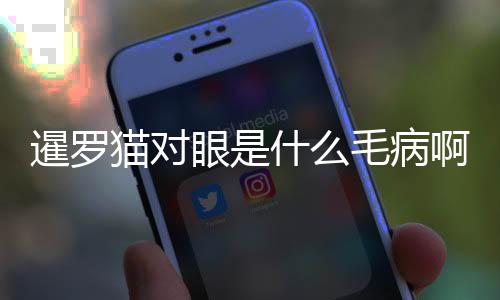暹羅貓對眼是什么毛病啊？暹羅貓的眼睛為什么會變顏色