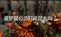 暹羅貓必須打疫苗么嗎？暹羅貓用不用打預防針