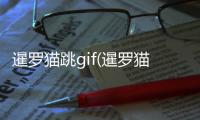 暹羅貓?zhí)鴊if(暹羅貓能跳多高)