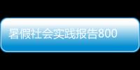 暑假社會實踐報告800字高中（暑假社會實踐報告800字）