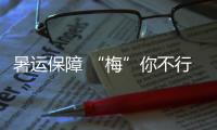 暑運保障 “梅”你不行——貴州空管分局氣象臺楊梅采摘活動