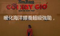 暖化海洋餵養(yǎng)超級(jí)強(qiáng)颱，研究：颱風(fēng)風(fēng)更強(qiáng)、雨更多