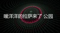 暖洋洋的拉薩來了 公園漫步 正當時