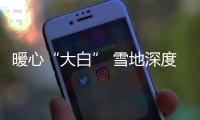 暖心“大白” 雪地深度體驗2019款本田CR
