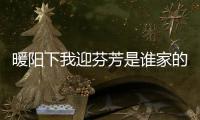 暖陽下我迎芬芳是誰家的姑娘什么歌