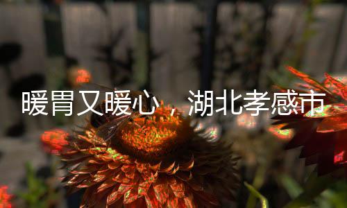 暖胃又暖心，湖北孝感市已建8家“小哥食堂”