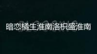 暗戀橘生淮南洛枳盛淮南第幾集在一起