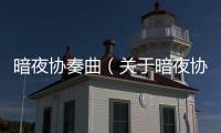暗夜協奏曲（關于暗夜協奏曲的基本情況說明介紹）