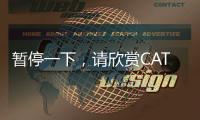 暫停一下，請欣賞CAT?（卡特）336的「力大無窮」！