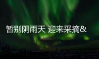 暫別陰雨天 迎來采摘“熱”