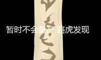 暫時不會量產 路虎發現皮卡假想圖曝光