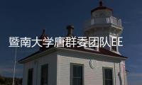 暨南大學唐群委團隊EES：基于混合電磁
