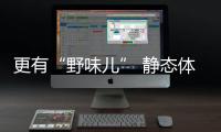 更有“野味兒” 靜態(tài)體驗(yàn)柯迪亞克Scout
