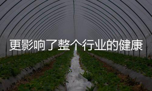 更影響了整個行業的健康發展