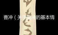 曹沖（關于曹沖的基本情況說明介紹）